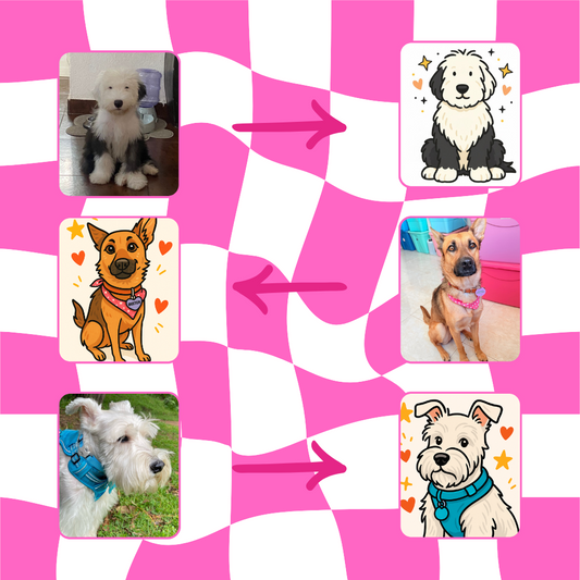 Hoodie con ilustración de tu mascota