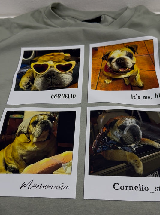 Playera polaroid mascotas